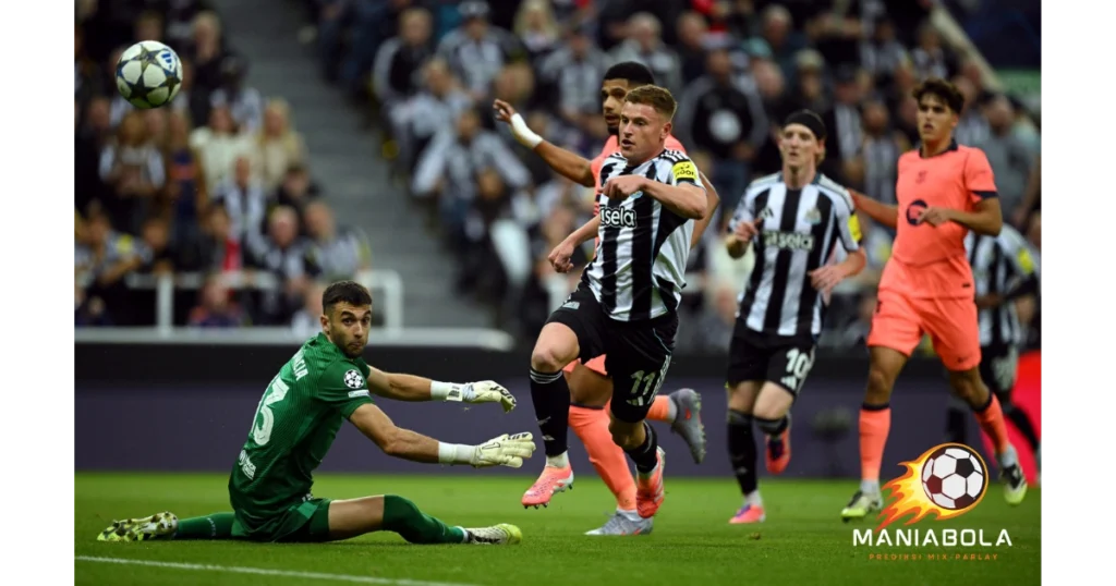Newcastle Ingin Curi Momentum